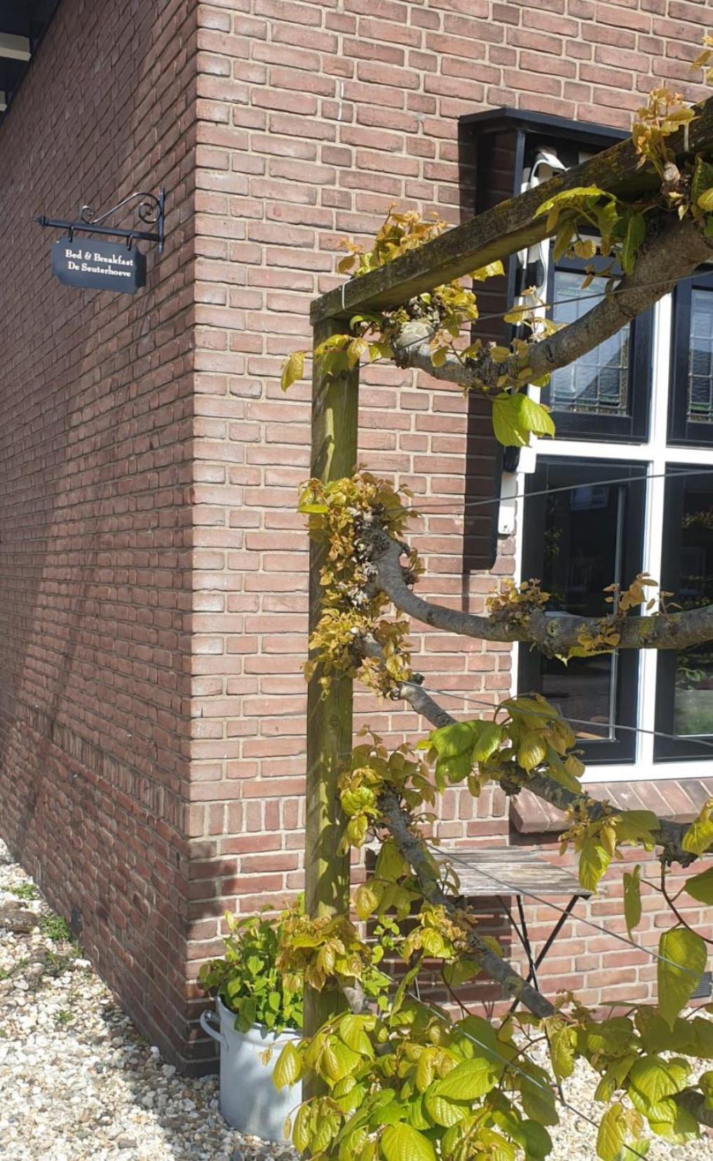 De Seuterhoeve 'S-Gravendeel Экстерьер фото
